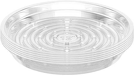 Jecengs Lot de 5 soucoupes transparentes pour plantes d'intérieur et d'extérieur 25 cm