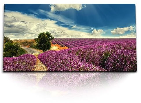 Paul Sinus Kunstdruck Bilder 120x60cm Lavendel Lavendelfeld blauer Himmel Natur Landschaft