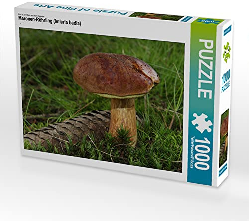 CALVENDO Puzzle Maronen-Röhrling (Imleria Badia) | 1000 Teile Lege-Größe 64 x 48 cm Foto-Puzzle für glückliche Stunden