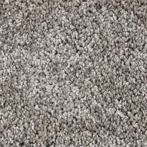 SchönesWohnen Teppichboden Almara Auslegware hell-grau 400x100cm