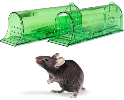 pokm toolsmarket 2 pièges à rat vivants 6 x 19 cm, pièges vivants pour rats, pièges à rats vivants, pièges à rats doux et à souris, respectueux des animaux, réutilisables, prêts à l'emploi