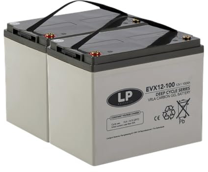 Blei Akku 2X 12V 100Ah passend für 24V Rollstuhl Elektromobil UVM. baugleich 75Ah 77Ah 80Ah MP75-12C REC80-12I 12LC-75Ah KPH75-12NE KPH75-12N