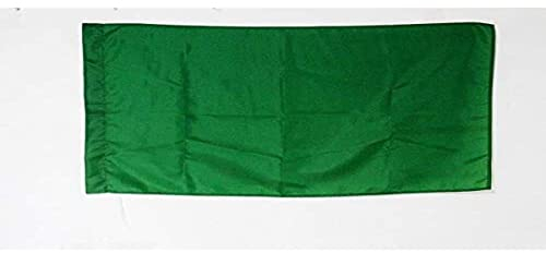 AZ FLAG - Drapeau course automobile vert - 90x60 cm - Drapeau De Commissaire 100% Polyester Avec Fourreau et Cordelette - Pavillon 45 g