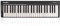 SubZero ControlKey49S 49 Key Slim MIDI Controller Keyboard