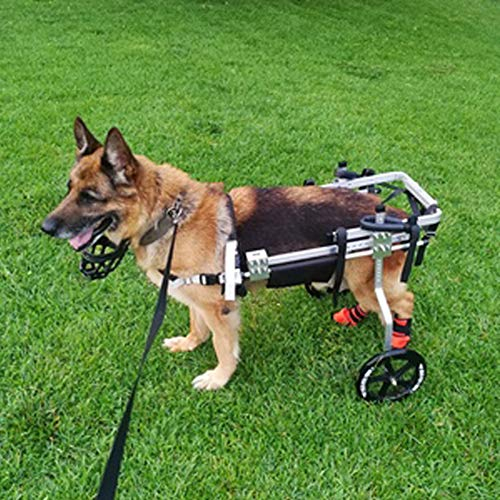 Cora Pet Rollstuhl Fahrradanhänger Hunderollstuhl für Mittlerer Hund Katze Kaninchen Hinterbein/Hintere Füße, Hunderollwagen Gehhilfe Hundegehilfe, Wagen für Haustier mit Einem Gewicht von 9-18 KG