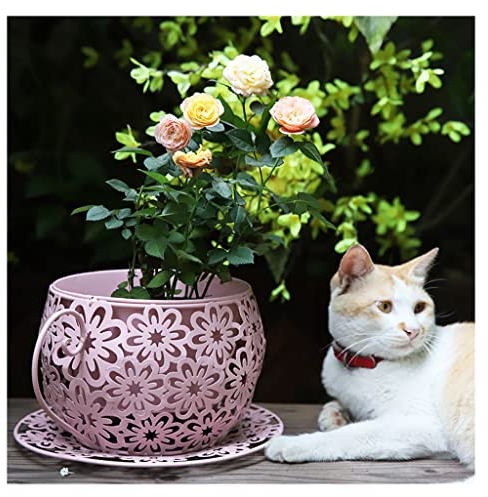 Vintage Metal Iron Coffee Cup Flower Pots,Coffee Saucer Tea Cup Garden Plant Holder, Hollow Floral Design and the Matching Saucer,for Indoor Outdoor Planters Home Garden Decor (Color : Pink)