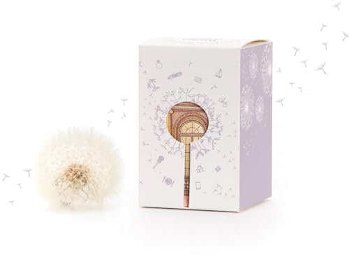 Wunscherfüller Geldgeschenk (Lila) von Die Stadtgärtner | Echte Pusteblume im Glas mit Geldschein-Sichtfenster | Kreative Verpackung zum Geld verschenken | Zum Geburtstag, Hochzeit, Schulabschluss