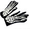 EROSPA® Skelett/Skeleton/Knochen Handschuhe Kurz - Damen/Herren - Karneval/Fasching/Halloween - 1 Paar - Schwarz/Weiß