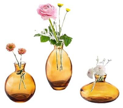 EylKoi Kleine Vasen füR Tischdeko Glas 3 Stück/Satz Amberg Mini Vase Vintage Handmade Hydroponic Glasvase Blumenvase Modern Set Fuer Hochzeit Tischdeko, Zuhause Wohnzimmer Blumen Rose