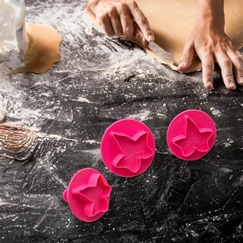 Set mit 3 Ausstechformen Blätter - Herbst, 3D-Ausstechformen aus Kunststoff für Kuchen, Zuckerpaste, Kuchendekoration, ideal für Kinder und Partys, 3 Größen (SET 3)