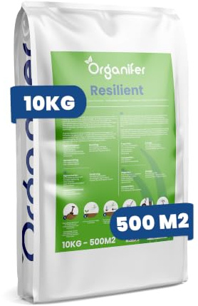 Spiel- & Sportrasen - 10kg | Schnell Keimend - NAK-zertifiziert - Hohe Belastbarkeit - Trittfest & Robust - 10kg - Organifer