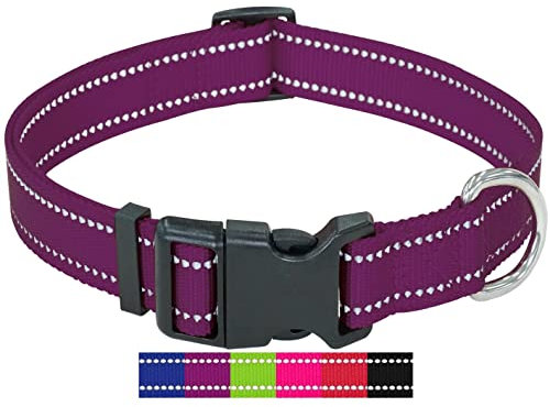 DEY - Premium Hundehalsband Nylon, Reflektierend, Verstellbar, für Kleine u. Große Hunde, viele Farben u. Größen, Hund Welpe, Hunde-Halsbänder, Katzen-Halsband, Welpen-Halsband, Lila, M