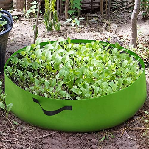 WTTTTW Camas de Cultivo de Tela Reutilizables para Hierbas, Verduras y Flores, Caja de Cama de jardín elevada, jardineras Grandes, jardineras de jardín,Verde,120x30cm
