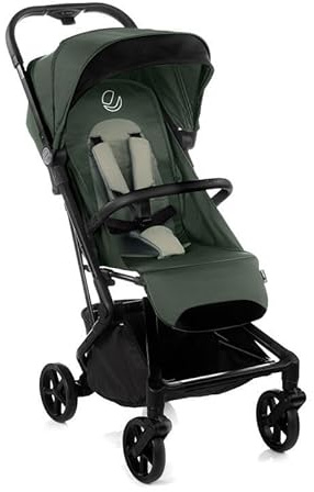 Kompakter WING Kinderwagen Botanic