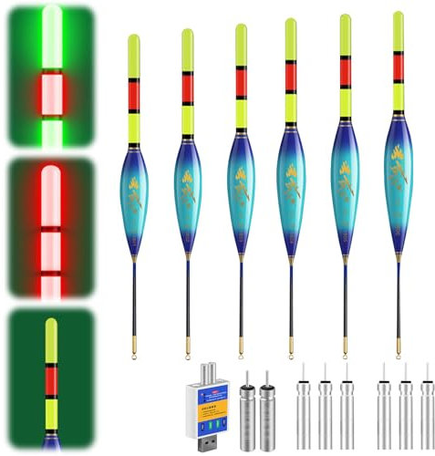 Hegawleo 6 Stück Led Posen Angeln Mit CR425 Batterie Ladegerät, Angelposen Mit Gravity Sensing Farbwechsel Und Kupferring, Angel Zubehör Zum Meeresfischerei Angeln Am See (4g+5g+6g+7g+8g+9g)