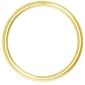 OUFER Body Piercing Nose Ring Hoop 20G Gold Nose Ring Hinged Segment Helix Lip Rings Thin Nose Hoop Piercing Cartilage Daith Rook Tragus Conch Earrings Jewellery