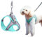 QKEPCY Hundegeschirr Reflektierendes Geschirr Hund Ausbruchsicheres Hunde mit Griff Brustgeschirr Gepolstertem Atmungsaktiv Hundeweste Panikgeschirr(S)