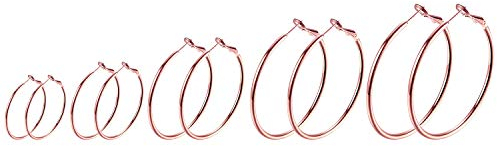 JewelryWe Schmuck 5 Paar Creolen Ohrringe Set Edelstahl Groß Rund Hängend Huggie Ohrringe Ohrhänger für Damen Mädchen, Durchmesser 30 40 50 60 70 mm, Rosegold