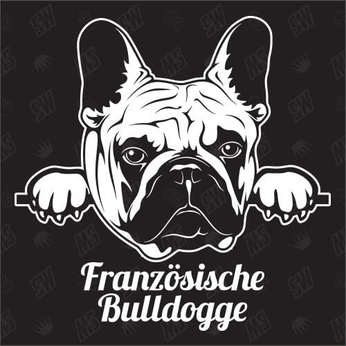 Französische Bulldogge Frenchi, Frenchie Version 1 - Sticker, Hundeaufkleber, Autoaufkleber, Hund, Auto, Hunderassen, Aufkleber, Mischling, Mix, Tiere, Haustier (AUCH MIT Wunschname MÖGLICH)