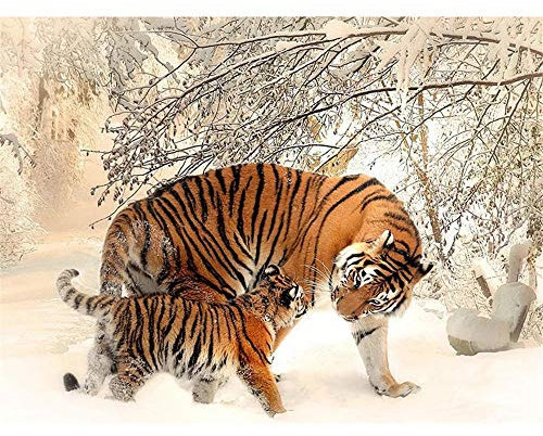 Puzzle 5000 Teile, Zwei Tiger im Schnee Puzzle Erwachsene 5000 Teile, Impossible Puzzle, Puzzle Kinder Mädchen, Geschicklichkeitsspiel für die ganze Familie, Puzzle Erwachsene 5000 Teile-61.61x41.53