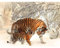 Puzzle 5000 Teile, Zwei Tiger im Schnee Puzzle Erwachsene 5000 Teile, Impossible Puzzle, Puzzle Kinder Mädchen, Geschicklichkeitsspiel für die ganze Familie, Puzzle Erwachsene 5000 Teile-61.61x41.53