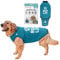 BellyGuard Hundebody nach OP für Hündin & Rüde, OP Body Hund Kastration Hündin, Hunde Body Operation Hündin, Body für Hunde nach OP & Hundebody nach Kastration Rüde, Alternative zu Halskrause