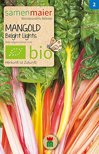 BIO Mangold Bright Lights Samen - dekorative Sorte mit mild-würzigem Geschmack - ideal für Garten, Hochbeet und Balkon - Inhalt reicht für ca. 20 Pflanzen - Samen Maier