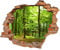 WCB Wandtattoo - Wanddurchbruch mit Aussicht Wald 50 x 41 cm Wandsticker