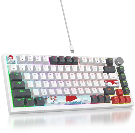 SOLIDEE Verkabelte Mechanische Gaming Tastatur 75%,hot-swap-fähige mechanische Tastatur Gasket Struktur,RGB Hintergrundbeleuchtung,QWERTY 82 Tasten TKL Gaming Tastatur mit Drehknopf(82 Grey_White)