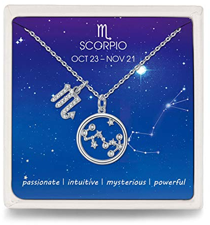 Qings Halskette Damen 925 Silber Skorpion Sternzeichen Kette mit Kreis Stern Zirkonia Konstellation Anhänger, Hals-Schmuck Kette für Frauen Mädchen