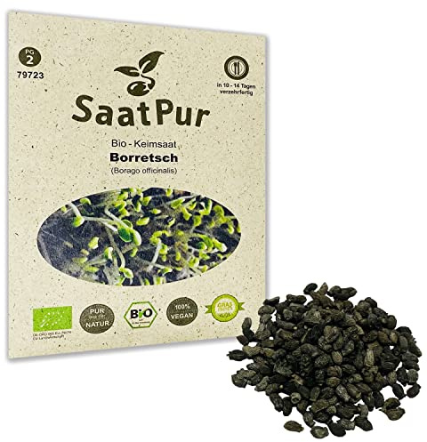 Borretsch BIO Keimsprossen von SaatPur - Keimsaat für die Sprossenzucht zuhause - 10g Gurkenkraut