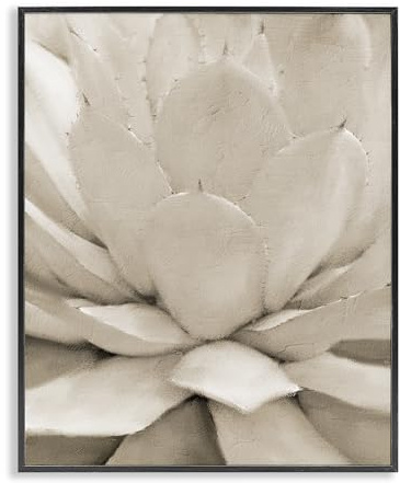 Stupell Industries Pianta d'agave d'agave d'spinosa, monocromatica beige deserto, disegnata da Kim Allen Black cornice da parete, arte bianca