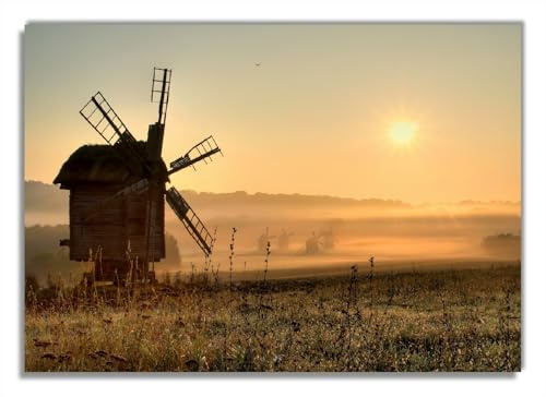 Wallario Poster - Morgendämmerung am Mühlenfeld in Premiumqualität, Größe: 70 x 100 cm (Riesenposter)