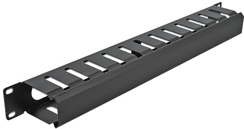 Delock 19″ Kabelmanagement Rangierpanel mit 2 Öffnungen 1 HE schwarz