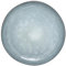 Secret de Gourmet - Lot de 6 Assiettes Plates Flower 26cm Bleu