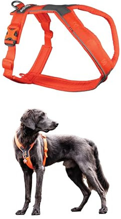 Non-stop dogwear Line Harness 5.0, Gepolstertes Hundegeschirr für kleine, mittlere und große Hunde, gemacht fürs Wandern, Sport und den aktiven Alltag, Größe 4