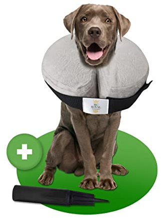 NEU: MC-Royal®Premium Halskrause - aufblasbare Premium Halskrause für Hunde und Katzen [zuverlässiger Schutz] - Hundehalskrause - Leckschutz Hund - Hundekragen - Halskrause Katzen - Schutzkragen Hund