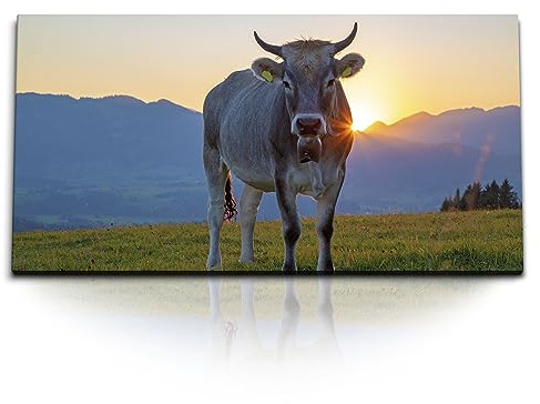 Paul Sinus Kunstdruck Bilder 120x60cm Kuh Rind Alpen Sonnenuntergang Weide Berge