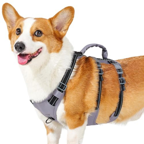 Huntboo Sicherheitsgeschirr Hund Ausbruchsicher, Panikgeschirr für Hunde, Reflektierendes Geschirr Hund mit Griff, Verstellbare Hundegeschirr für kleine, mittelgroße und große Hunde (Schwarz,M)