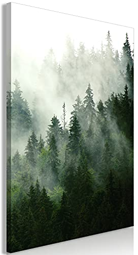 murando - Wandbilder Wald Nebel 20x30 cm Vlies Leinwandbild 1 tlg Kunstdruck modern Wandbilder Wanddekoration Design Wand Bild - Bäume grün c-B-0394-b-a