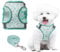 PawSailor No Pull Dog Harness and Leash Set, Step-in Floral Print Adjustable Breathable Mesh Pet Harness, Reflective Soft Padded Dog Vest for Small Dogs Green XXS