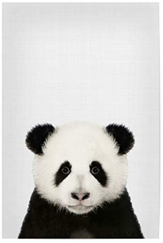 artboxONE Poster 30x20 cm Tiere Panda Portrait (Color) hochwertiger Design Kunstdruck - Bild Panda Panda Portrait