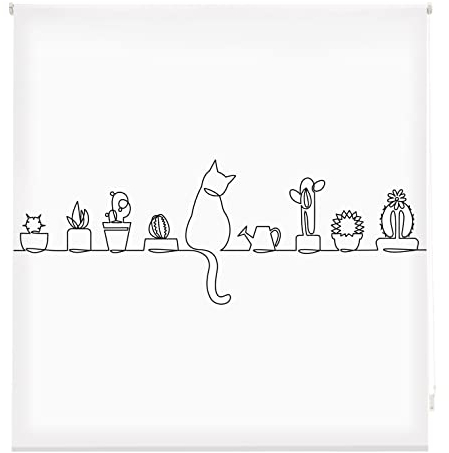 Blindecor Transparentes Rollo mit Digitaldruck für Küche, Katze, Rollo 170 x 180 cm (Breite x Höhe), Stoffgröße 167 x 175 cm, Digitaldruck