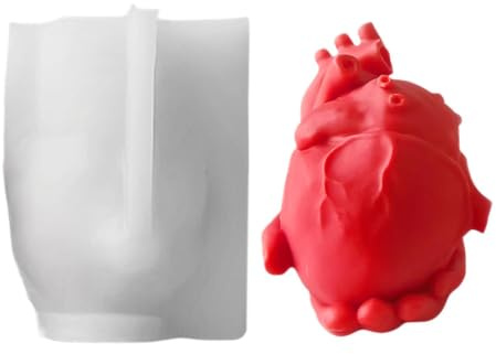 da Colata in Gesso Facile Rilascio E Antiaderente 3D Di Cuore Organo