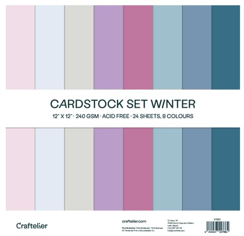 Craftelier - Cardstock Set | 24 Karten für Scrapbooking und Basteln | Textur Winter - Größe 30 x 30 cm - Grammatur 240 gr.