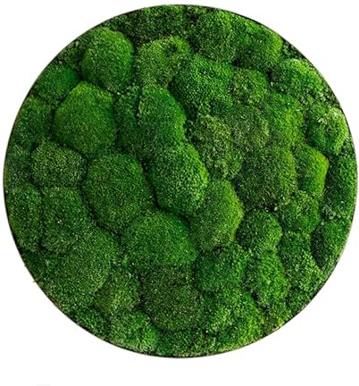 styleGREEN Moosbild: Kugelmoos-Ellipsoid 54cm