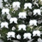 10 Pcs White Feather Christmas Decorations Angel Vintage White Feather Wing Ornament for Christmas Party Xmas Tree Decoration DIY Craft