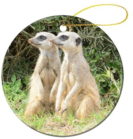 Weihnachts Ornamente, Wildtier Erdmännchen Weihnachts Anhänger Mit Seil Christbaum Baumschmuck Anhänger Christbaumschmuck Für Deko Weihnachtsbäume