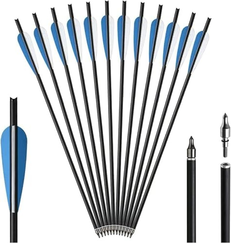 biubiusot Armbrustbolzen Carbonpfeile 12 Stücke 17/20 Zoll Pfeilspitzen Jagd Bogenschießen mit Austauschbarer Einschraubbarer Jagdspitze Pfeilspitze Spitze für Armbrust Outdoor Geschenk (22inch)