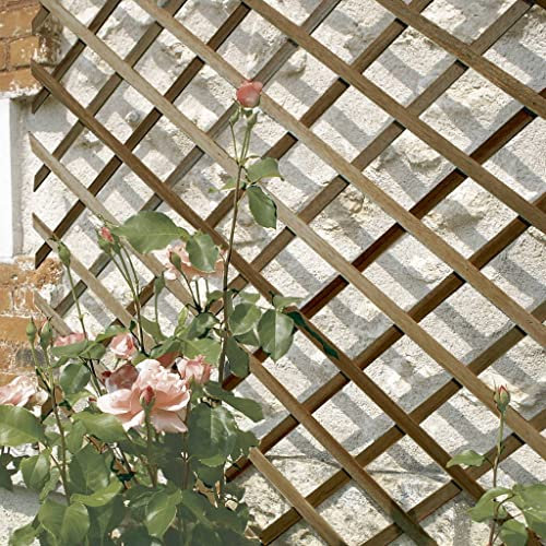 Treillis en bois FSC extensible TRELLIWOOD - 1 x 2 m - Marron